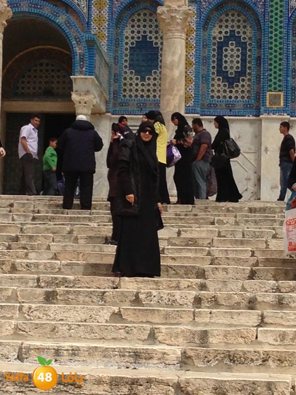 sane3atlud411 (6).jpg